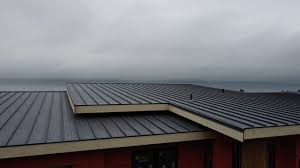 Steel Roofing in Oglethorpe, GA